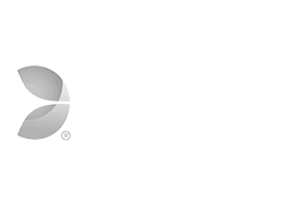 Evolution Gaming