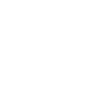 Real Dealer