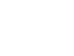 Spinmatic