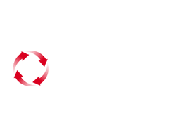 4 The Player