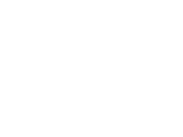 Aviatrix