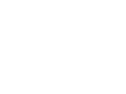 Bad Dingo